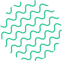 shape5